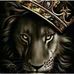 Timothy Timmons - Facebook