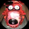 Timmy :D 🐢🦈 - @timmy_timothyy - TikTok