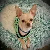 Timmy (Timothy) - @timmy.timothy53 - TikTok