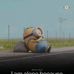 Timothy Timmy - Facebook