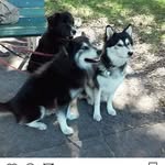 Timothy Toth - @toth748 - Instagram