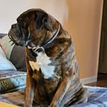 Timothy Alan Traver - @timothytraver - Instagram