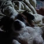 Timothy Tremblay - @_timothy_2001 - Instagram