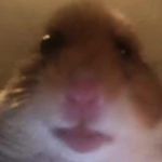 Timothy Trotter - @timothyt554 - Instagram