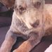 Tim Tye - Facebook