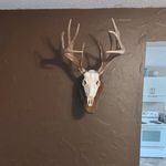 Timothy Unger - @timmy_unger - Instagram