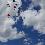 Timothy VandenBerg - @timothy.vb1 - Instagram