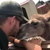 Tim Vanderpool - @truckertim - TikTok