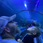 Timothy Vandiver - @midnight_constrictors - Instagram