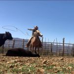 Doyle Van Horn - @timothy.d.vanhorn - Instagram