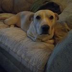 Timothy Villa - @timothy.villa.5 - Instagram