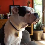 timothy Wakefield - @wakefieldtimothy - Instagram