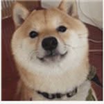 Timothy Wakefield - @timothywakefield5_ - Instagram