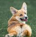 Timothy Walkowiak - Facebook