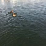 Timothy Walkowiak - @timothywalkowiak - Instagram