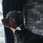 Timothy Wall - @timwall1234 - Instagram