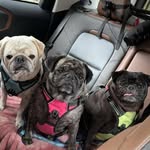 Timothy Waller - @timothywaller1 - Instagram