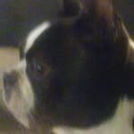 Timothy Waller - @waller.timothy - Instagram