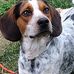 Timothy Warrick - Facebook