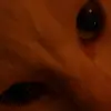 Timothy Weigand715 - @timothyweigand715 - TikTok