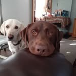 Timothy Buttweiler - @timothybuttweiler - Instagram