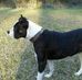 Timothy Wellman - Facebook