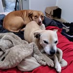 Timothy Whyte - @timothy.whyte.549 - Instagram