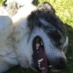 Timothy Whyte - @whytetimothy - Instagram