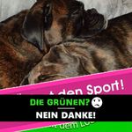 Timothy Wilhelm - @timothy.wilhelm.5 - Instagram