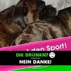 timothywilhelm981 - @timothywilhelm981 - TikTok