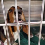 Timothy Willey - @monkeyboyvt12 - Instagram