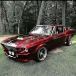 timothy willey - @tdog_2448 - Instagram