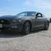 timothy_willey - @timothy_willey - TikTok