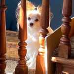 Timothy Winger - @timothywinger - Instagram