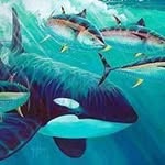 Timothy Wooley - @timothy.wooley - Instagram