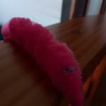 Timothy - @timothy_the_worm69 - Instagram