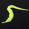 Timothy - @timothy.the.worm - TikTok