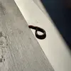 Timothy the worm - @timothy.the.worm3 - TikTok
