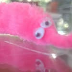 timothy the worm - @timothy_and_friends_ - Instagram