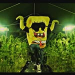 Timothy worm - @wormtimothy - Instagram