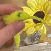 Worm. - @timothy.theworm2 - TikTok