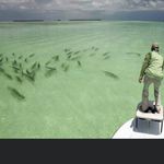 Timothy Wyman - @timothy_ericson22 - Instagram