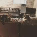 Xander and Timothy - @xander_and_timothy - Instagram