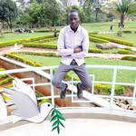 Timothy Yano - @timothy.yano.77 - Instagram