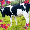 timothyyano855 - @timothyyano03 - TikTok