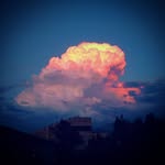 тимур ким - @timurkim905 - Instagram
