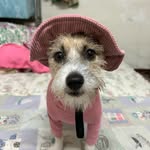 Tzu-Tin Hung - @garlic.228.jrt - Instagram