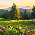 Tin Nwe - Facebook