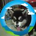 Bo Tin Ohn - Facebook