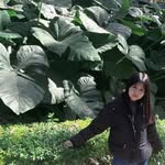 ….. - @tinohnmar_zan - Instagram